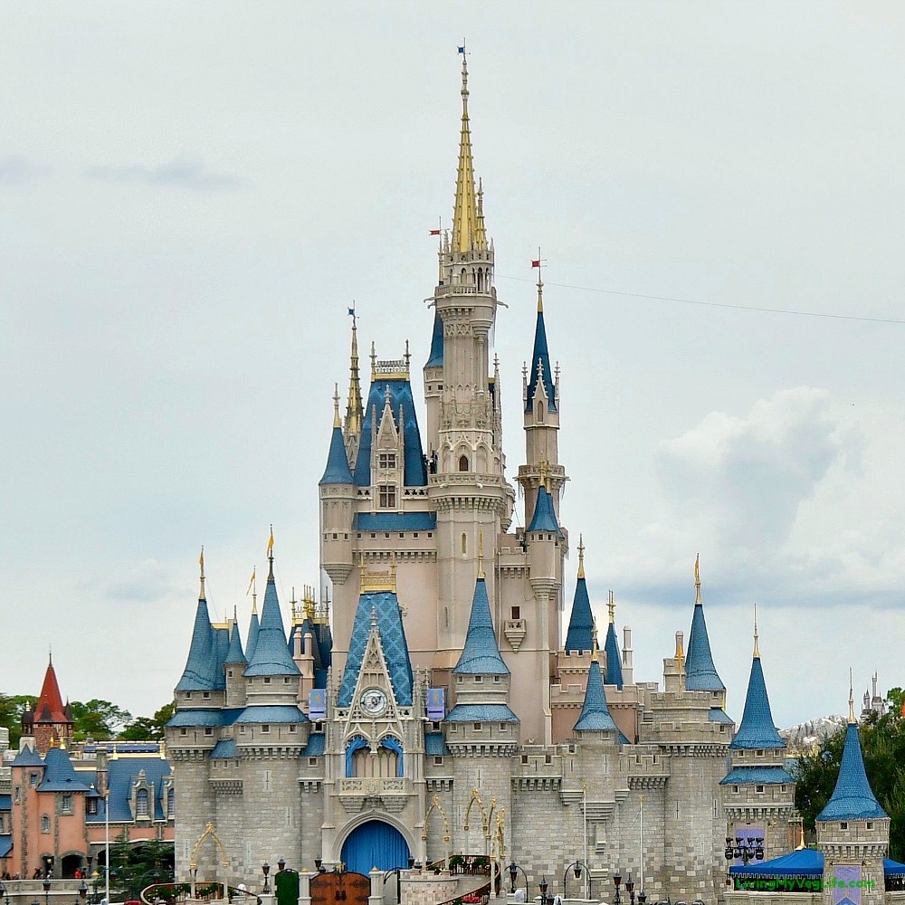 All vegan Options at Magic Kingdom. Cinderella's Castle Magic Kingdom