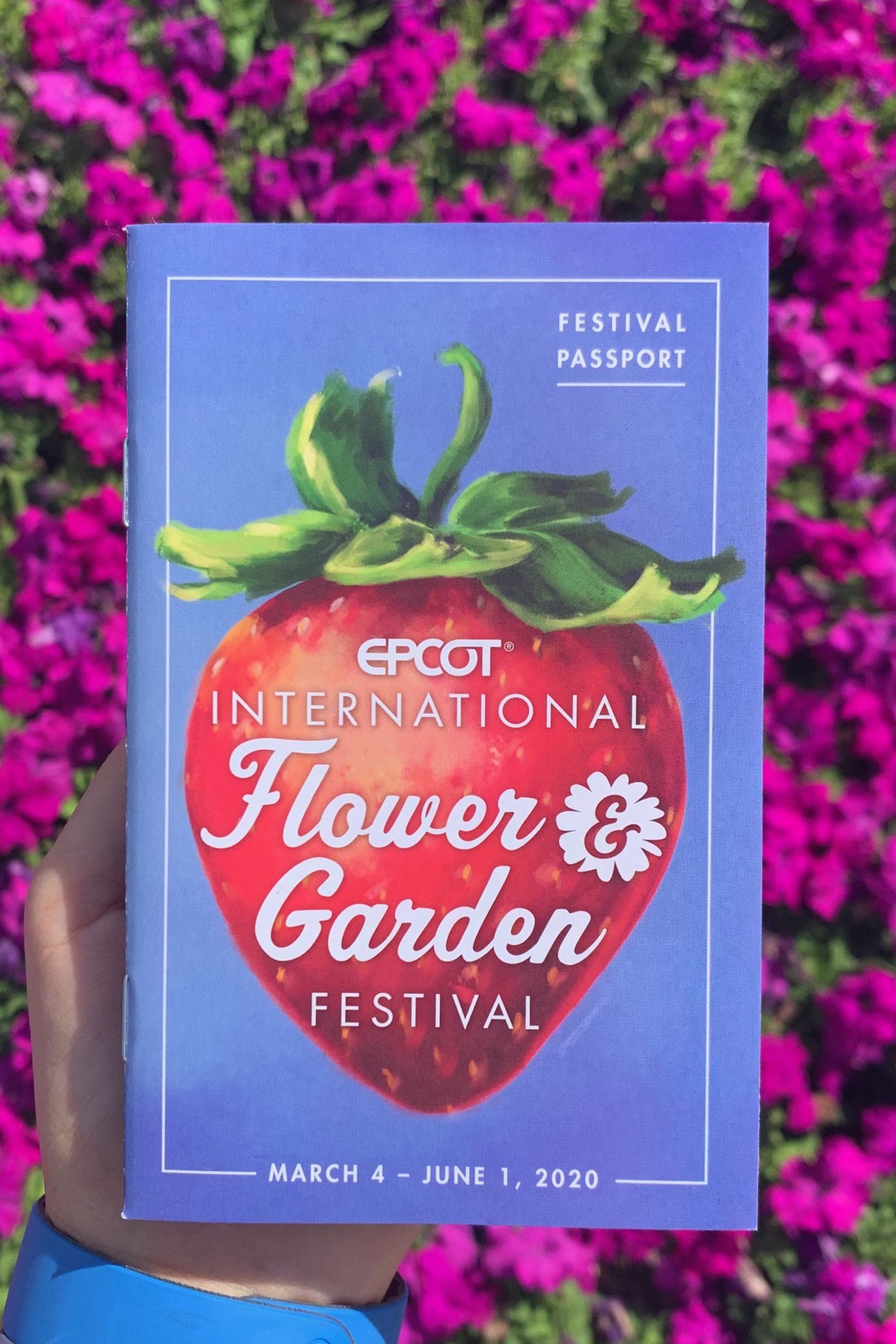 Epcot Flower and Garden Festival passport 